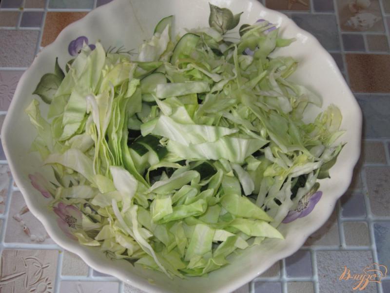Фото приготовление рецепта: Острый салат с капустой и огурцами шаг №2