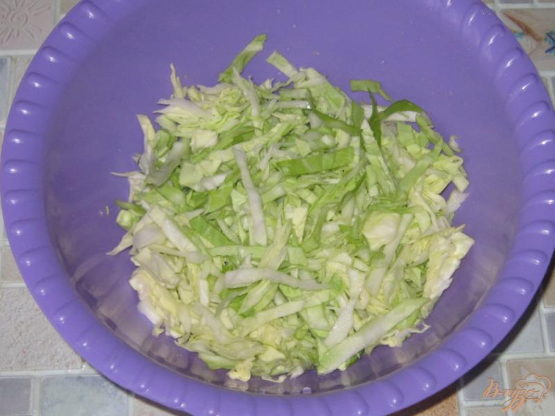 Фото приготовление рецепта: Салат из молодой капусты с маринованными опятами шаг №1