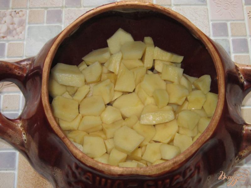Фото приготовление рецепта: Жаркое из свинины с картофелем и салом шаг №1