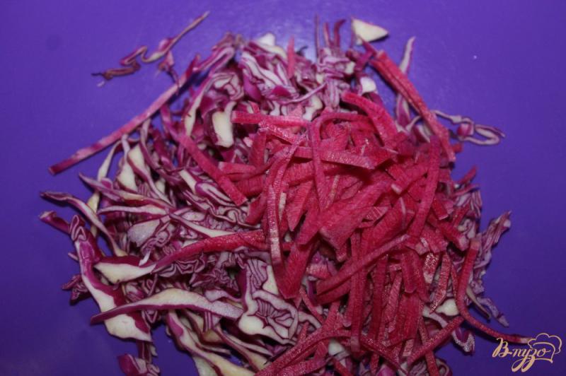 Фото приготовление рецепта: Салат из краснокочанной капусты с редькой и помидорами шаг №2