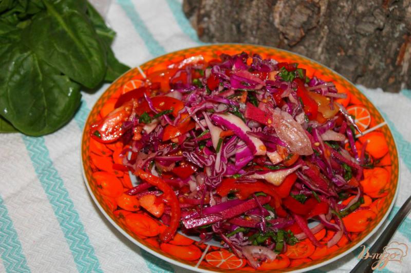 Фото приготовление рецепта: Салат из краснокочанной капусты с редькой и помидорами шаг №6
