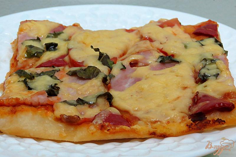 Фото приготовление рецепта: Пицца на пивном тесте шаг №9
