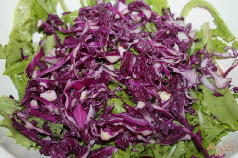 Фото приготовление рецепта: Салат из капусты с сыром и огурцами шаг №3
