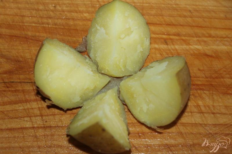 Фото приготовление рецепта: Печеный картофель с копченым салом, луком и соусом шаг №5