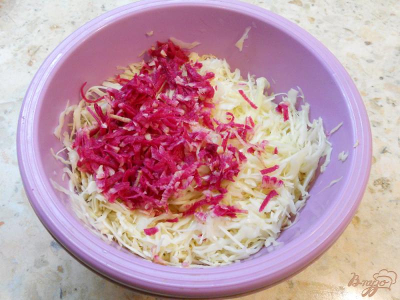 Фото приготовление рецепта: Салат «Закусочный» из капусты и красной редьки шаг №1