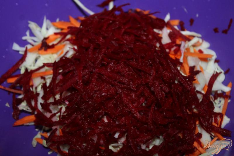 Фото приготовление рецепта: Квашенная капуста со свеклой и морковью шаг №2