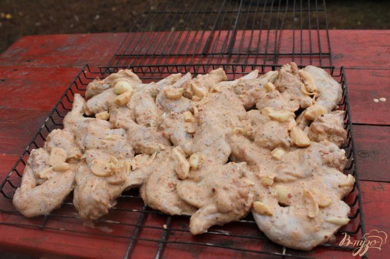 Фото приготовление рецепта: Куриные крылья маринованные в аджике на мангале шаг №4