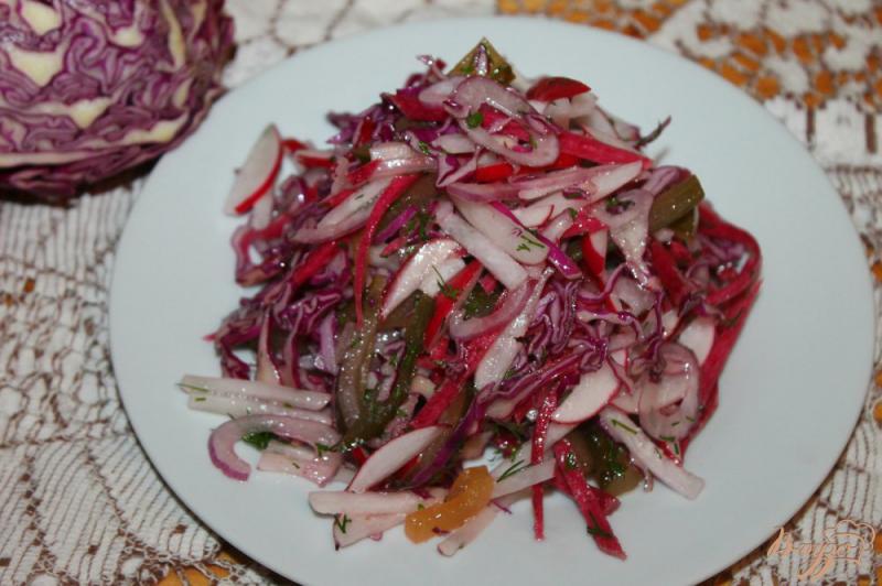 Фото приготовление рецепта: Домашний салат с редькой, редисом и соленым огурцом шаг №6