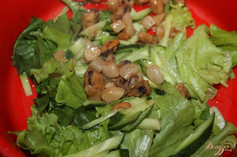Фото приготовление рецепта: Свежий салат с мидиями и кальмарами шаг №4