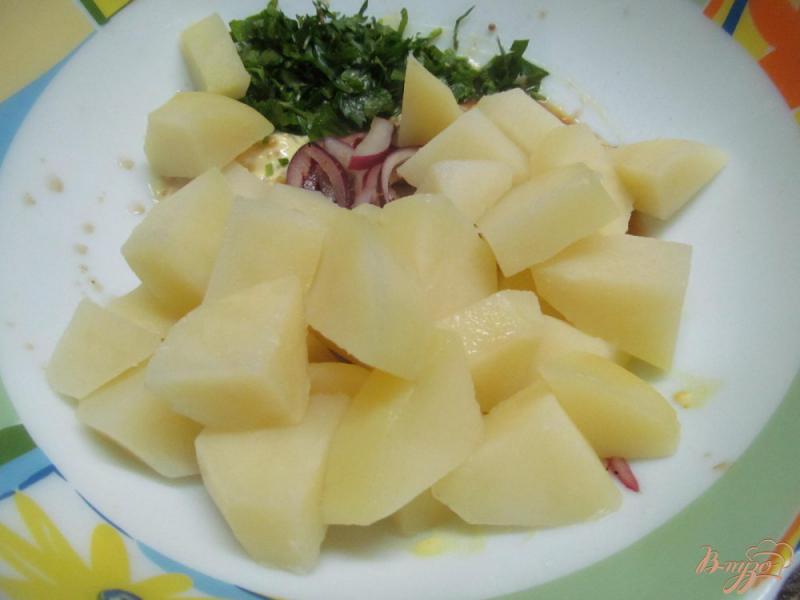 Фото приготовление рецепта: Картофельный салат в горчичном соусе с яйцом шаг №7