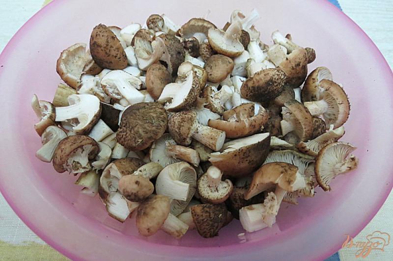 Фото приготовление рецепта: Булочки закусочные с грибами шаг №2