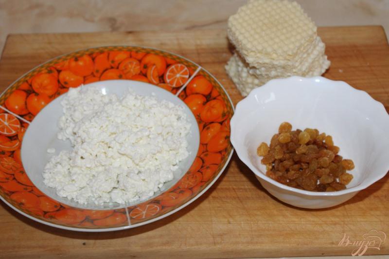 Фото приготовление рецепта: Вафельные бризольки с творогом и изюмом на завтрак шаг №1