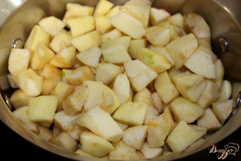 Фото приготовление рецепта: Пастила из груш и яблок шаг №2