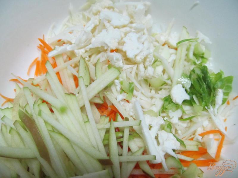 Фото приготовление рецепта: Зимний салат из двух видом капусты шаг №2