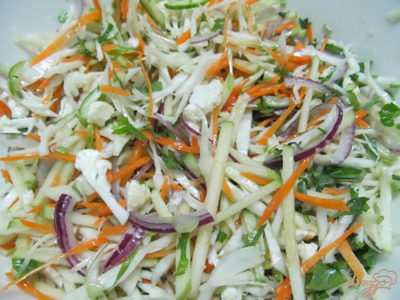 Фото приготовление рецепта: Зимний салат из двух видом капусты шаг №5