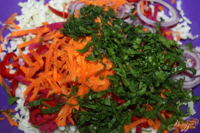 Фото приготовление рецепта: Салат из пекинской капусты с салатной редькой и морковью шаг №5