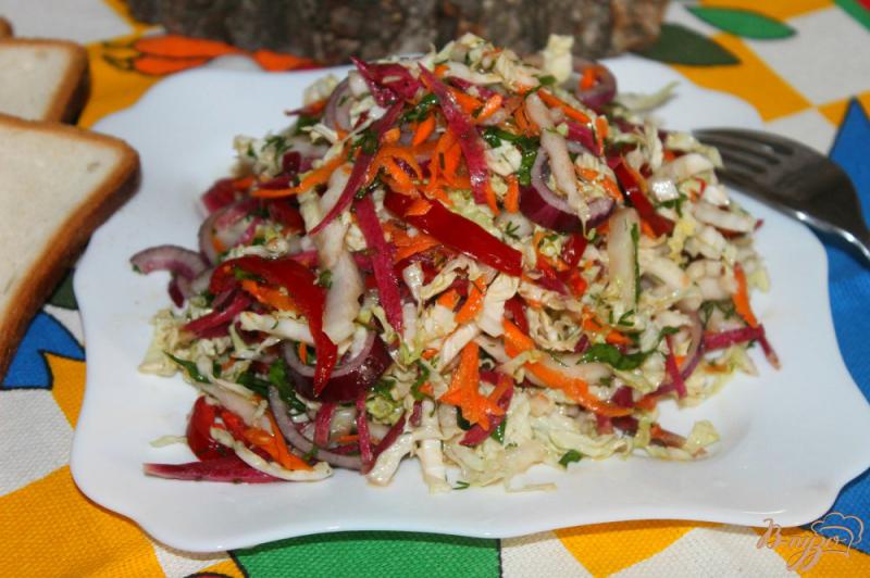 Фото приготовление рецепта: Салат из пекинской капусты с салатной редькой и морковью шаг №6