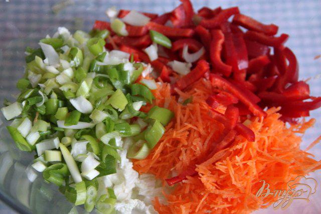 Фото приготовление рецепта: Салат из пекинской капусты и овощей шаг №2