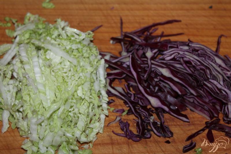 Фото приготовление рецепта: Салат из пекинской и краснокочанной капусты с сельдереем и огурцом шаг №1