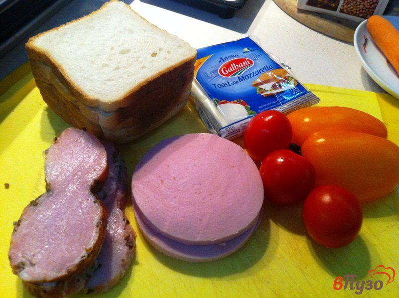 Фото приготовление рецепта: Горячий бутерброд с ветчиной и сыром шаг №1