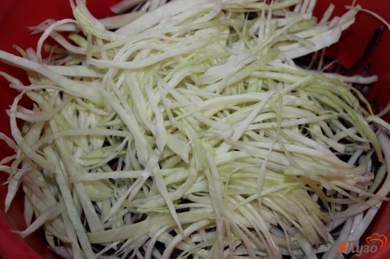 Фото приготовление рецепта: Салат из капусты с корейской морковью и колбасой шаг №2