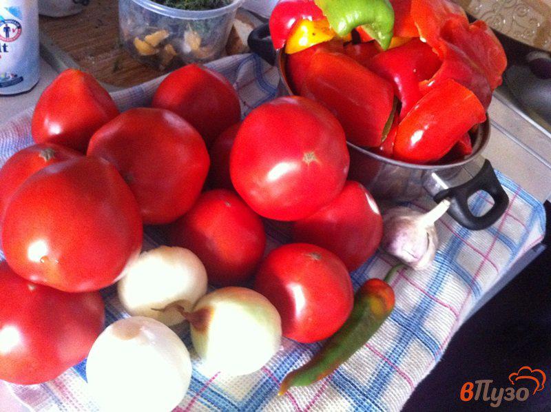 Фото приготовление рецепта: Острая приправа из сладкого перца и помидор шаг №2