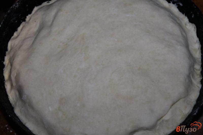 Фото приготовление рецепта: Пирог с твердым сыром и луком шаг №8