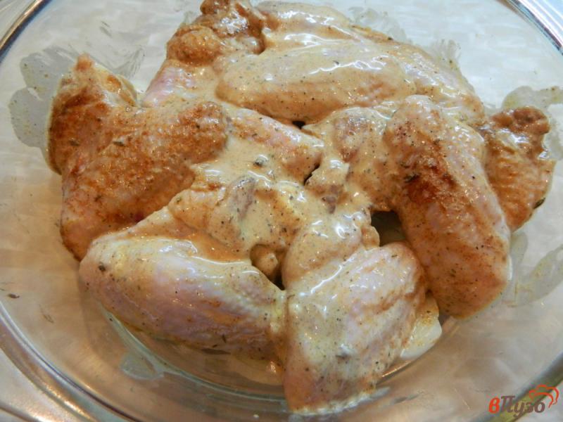 Фото приготовление рецепта: Крылышки в духовке с луком шаг №5