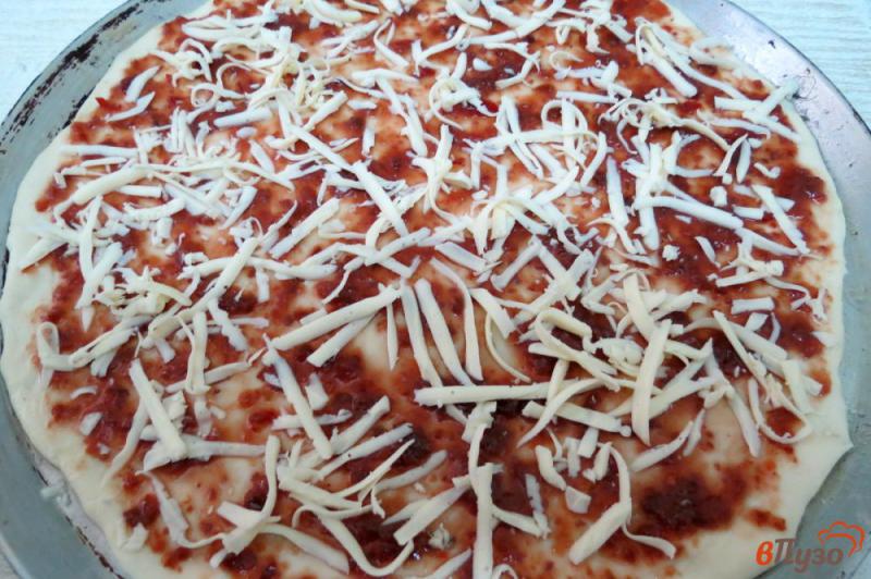 Фото приготовление рецепта: Тонкая пицца с ткемали и моцареллой шаг №9
