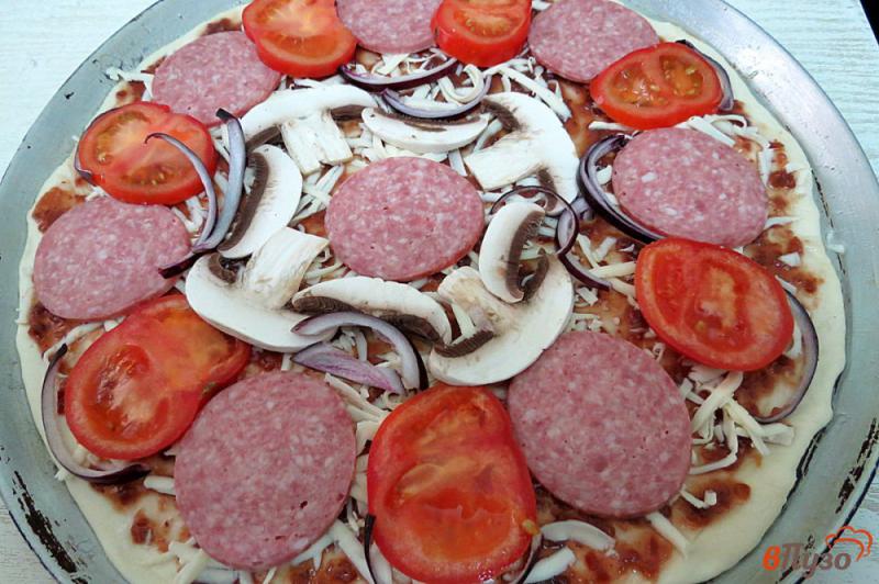 Фото приготовление рецепта: Тонкая пицца с ткемали и моцареллой шаг №10