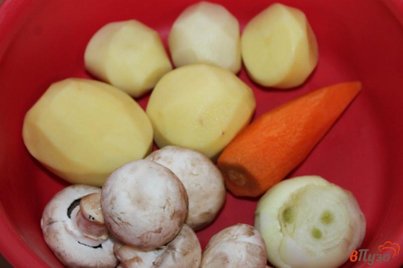 Фото приготовление рецепта: Суп со свининой, грибами и вермишелью шаг №1