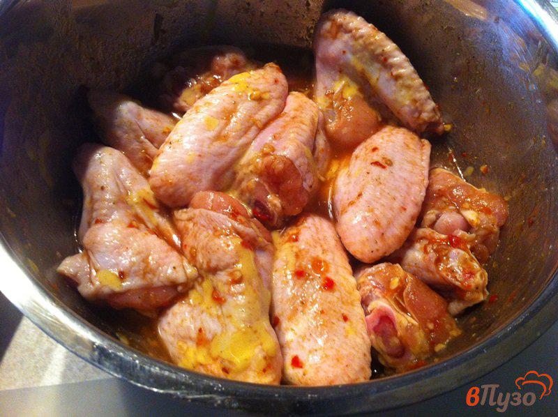 Фото приготовление рецепта: Крылья куриные барбекю шаг №1