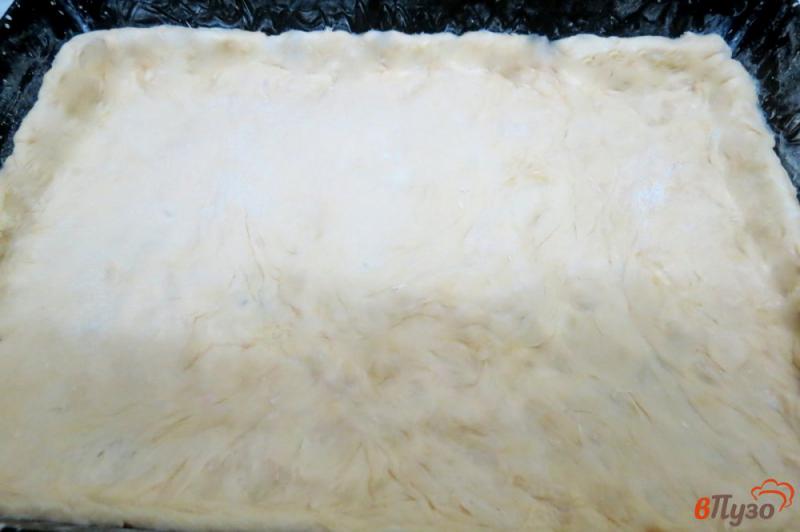 Фото приготовление рецепта: Дрожжевой пирог с мясом и картофелем шаг №12