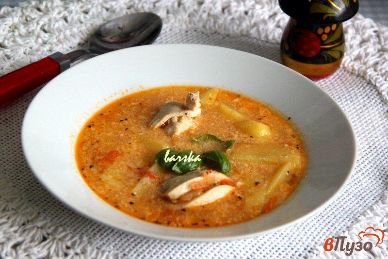 Фото приготовление рецепта: Куриный суп с помидорами шаг №8