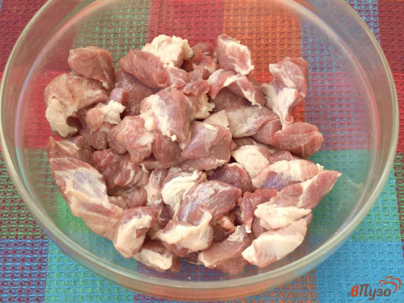 Фото приготовление рецепта: Свинина на сковороде маринованная с имбирём и горчицей шаг №1