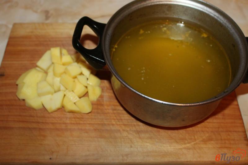 Фото приготовление рецепта: Томатный суп на курином бульоне с фрикадельками шаг №1