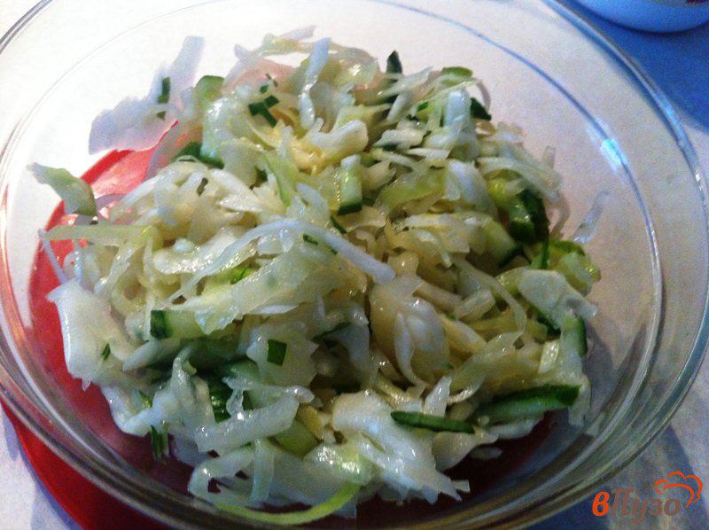 Фото приготовление рецепта: Салат из свежей капусты и овощей шаг №1