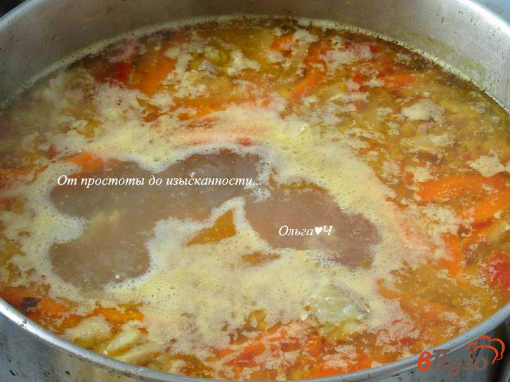 Фото приготовление рецепта: Суп с говядиной и помидорами шаг №5