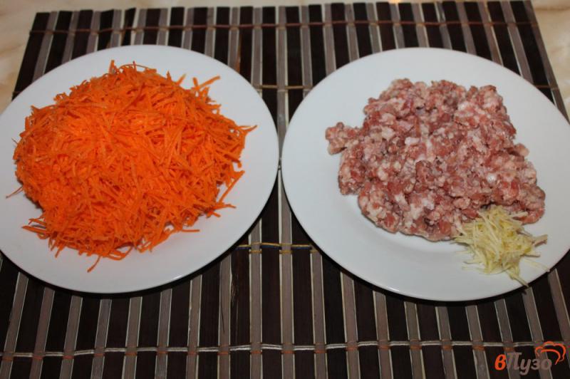 Фото приготовление рецепта: Морковно - мясные котлеты шаг №1