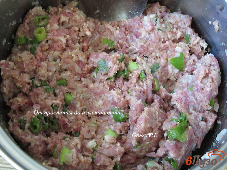 Фото приготовление рецепта: Мясные котлеты с зеленым луком шаг №2