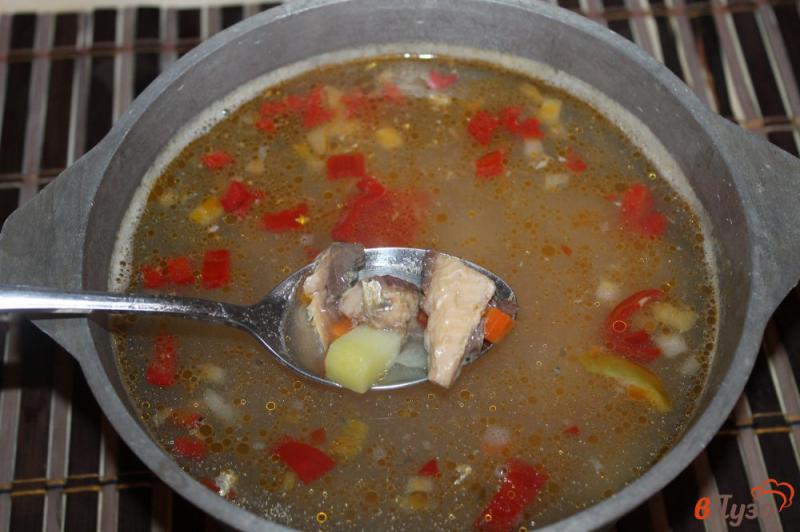 Фото приготовление рецепта: Суп с рыбными консервами и яйцом шаг №5