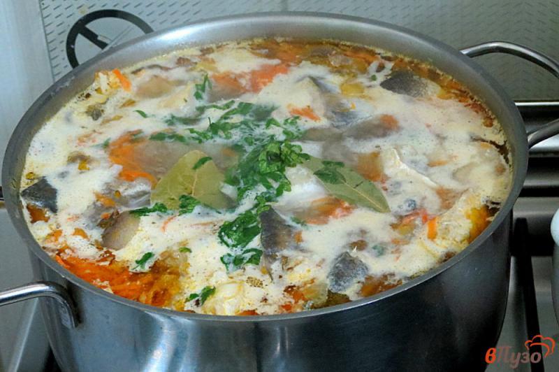 Фото приготовление рецепта: Суп с тунцом и хеком шаг №8