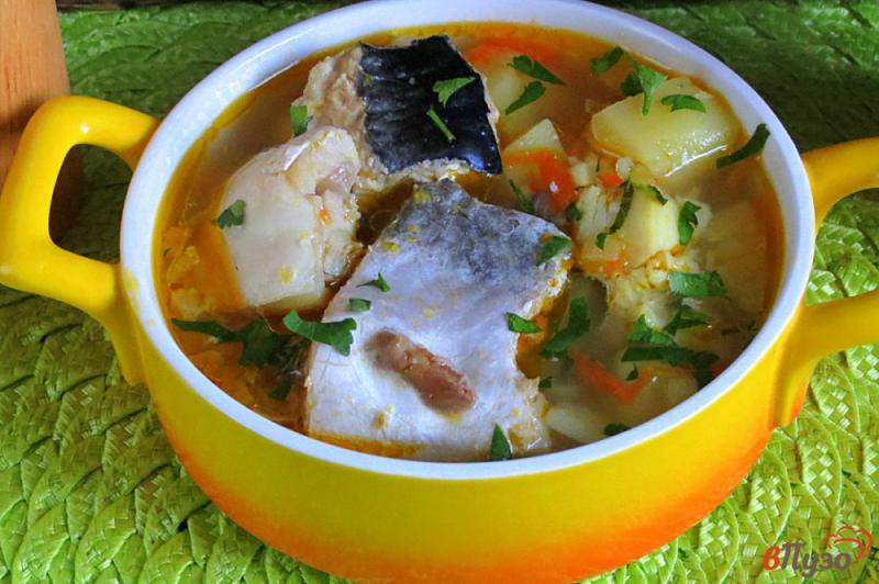 Фото приготовление рецепта: Суп с тунцом и хеком шаг №9