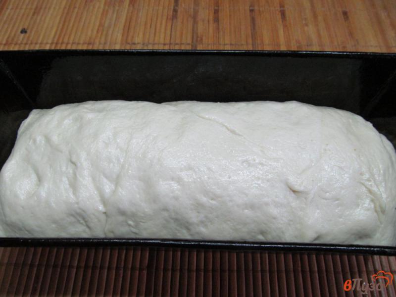 Фото приготовление рецепта: Белый хлеб с паприкой шаг №6