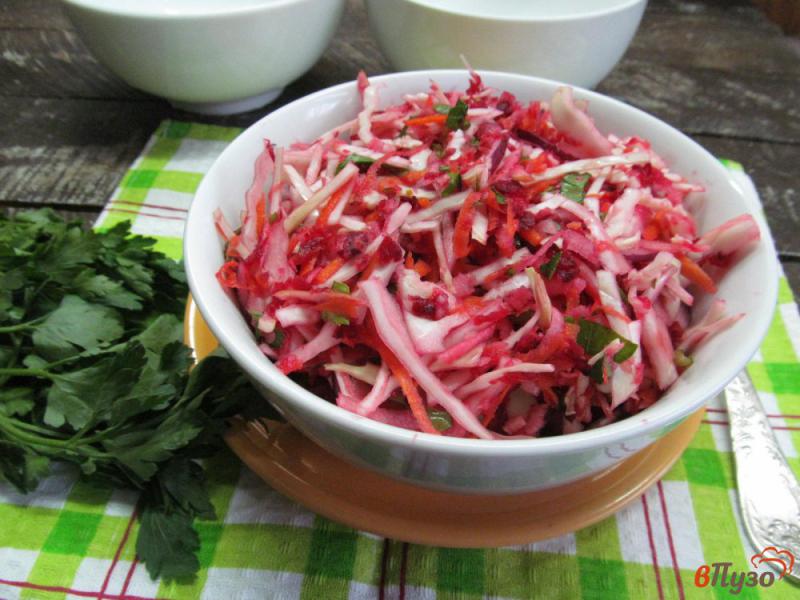 Фото приготовление рецепта: Салат из капусты со свеклой морковью и пастернаком шаг №5