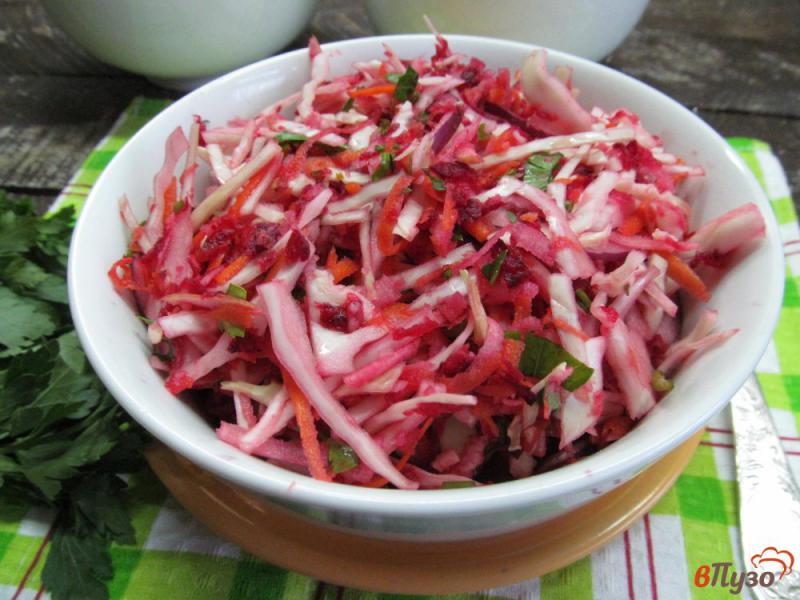 Фото приготовление рецепта: Салат из капусты со свеклой морковью и пастернаком шаг №6
