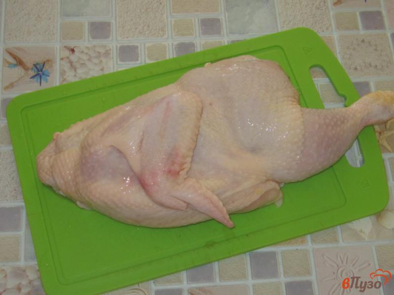 Фото приготовление рецепта: Курица жареная, маринованная в кетчупе и горчице шаг №1