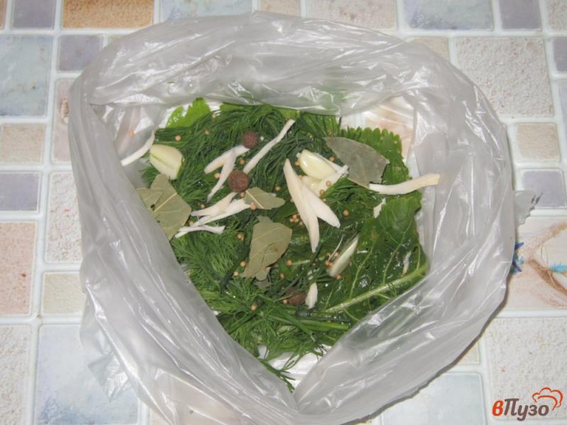 Фото приготовление рецепта: Огурцы  малосольные в пакете острые шаг №2
