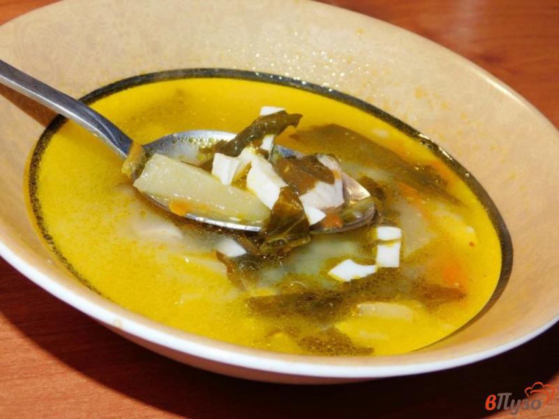 Фото приготовление рецепта: Куриный суп с консервированным щавелем шаг №5