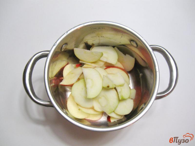 Фото приготовление рецепта: Кисель из яблок и черной смородины шаг №1
